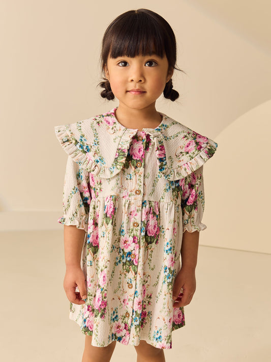 Cream Short Sleeve Collar Dress (3mths-7yrs) image 1