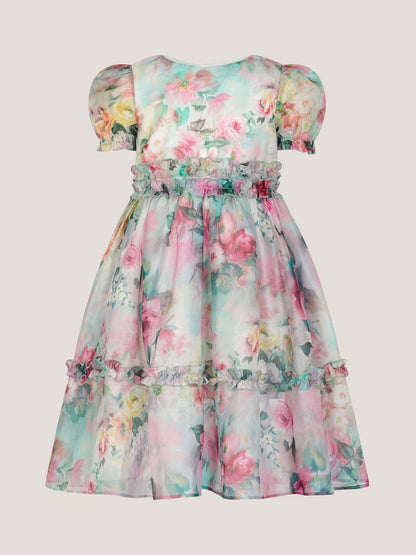 Monsoon Cream Floral Print Ruffle Tiered Dress image 2