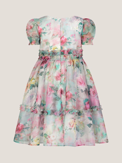 Monsoon Cream Floral Print Ruffle Tiered Dress image 3