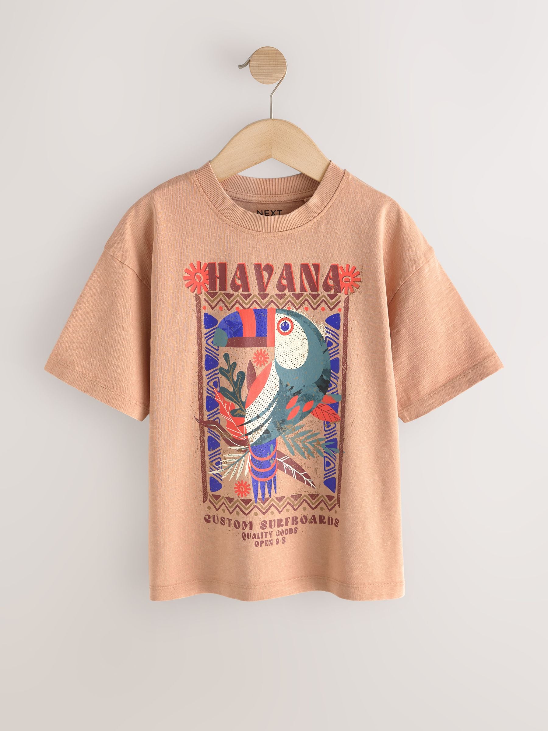 Dsiney Kidz - Tan Brown Washed Graphic T-Shirt (3-16yrs) image 1