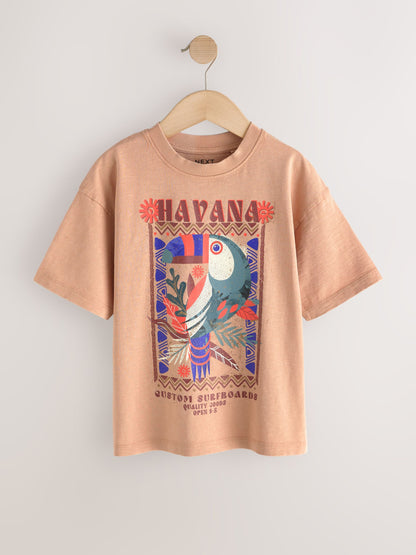 Dsiney Kidz - Tan Brown Washed Graphic T-Shirt (3-16yrs) image 1