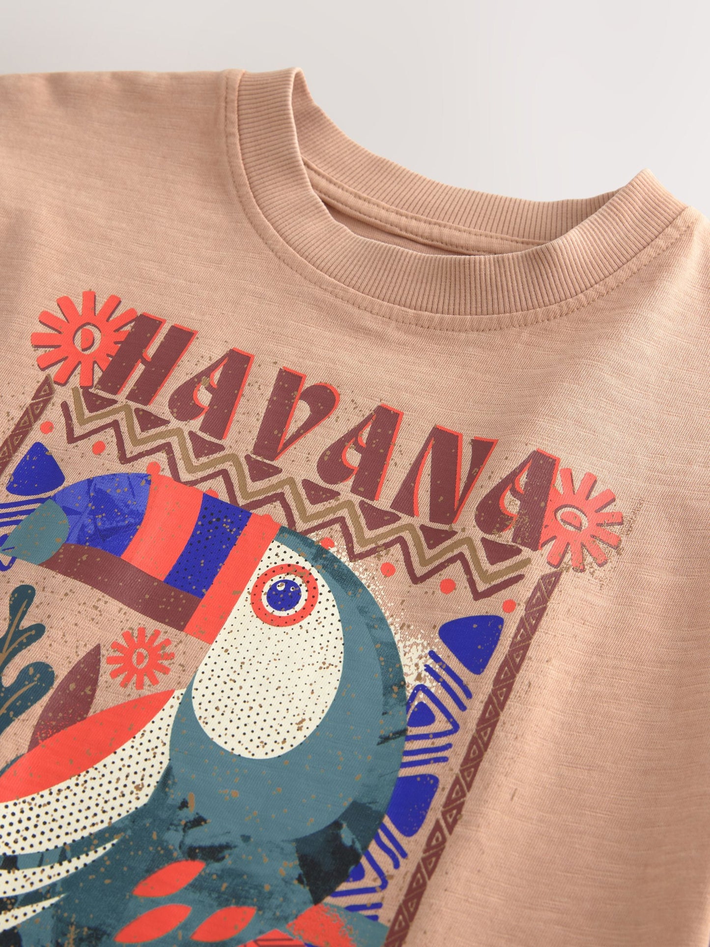 Dsiney Kidz - Tan Brown Washed Graphic T-Shirt (3-16yrs) image 4