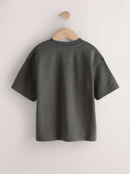 Dsiney Kidz - Charcoal Grey Graphic Heavyweight Short Sleeve T-Shirt (3-16yrs) image 2