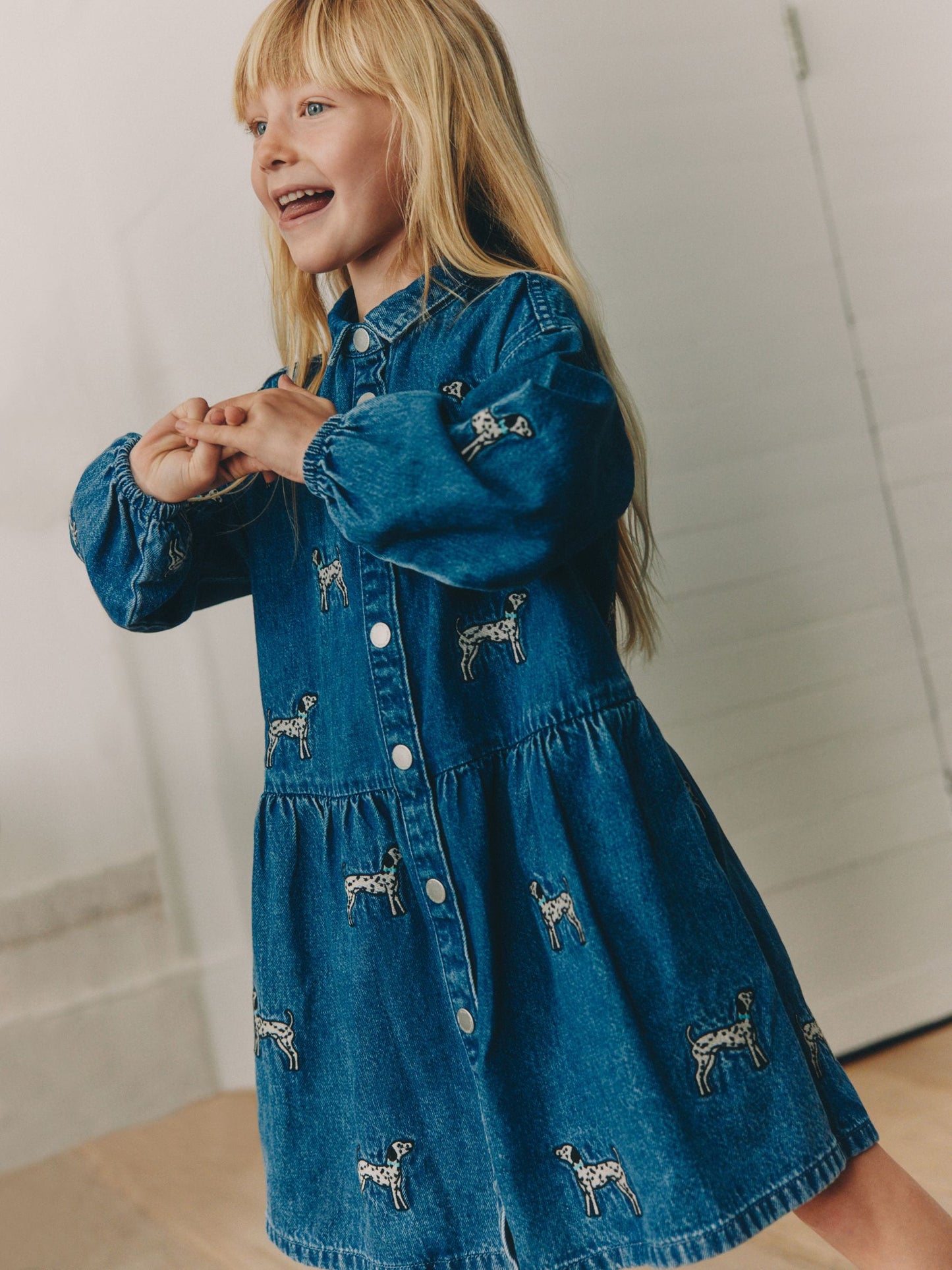 Dsiney Kidz - Blue Tiered Denim Dog Embroidered Dress (3-16yrs) image 4