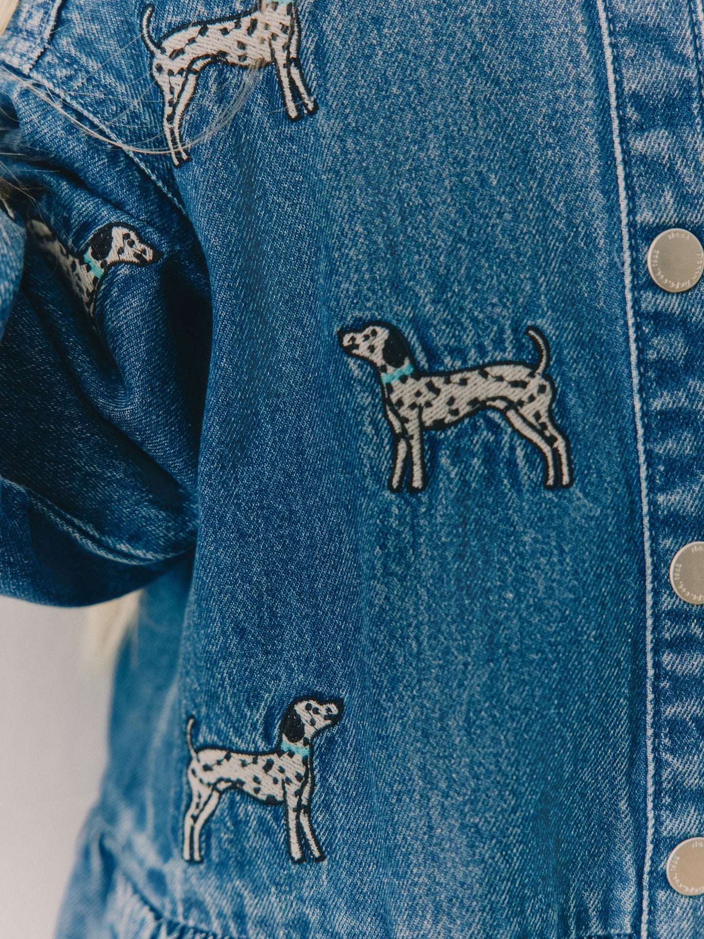 Dsiney Kidz - Blue Tiered Denim Dog Embroidered Dress (3-16yrs) image 7