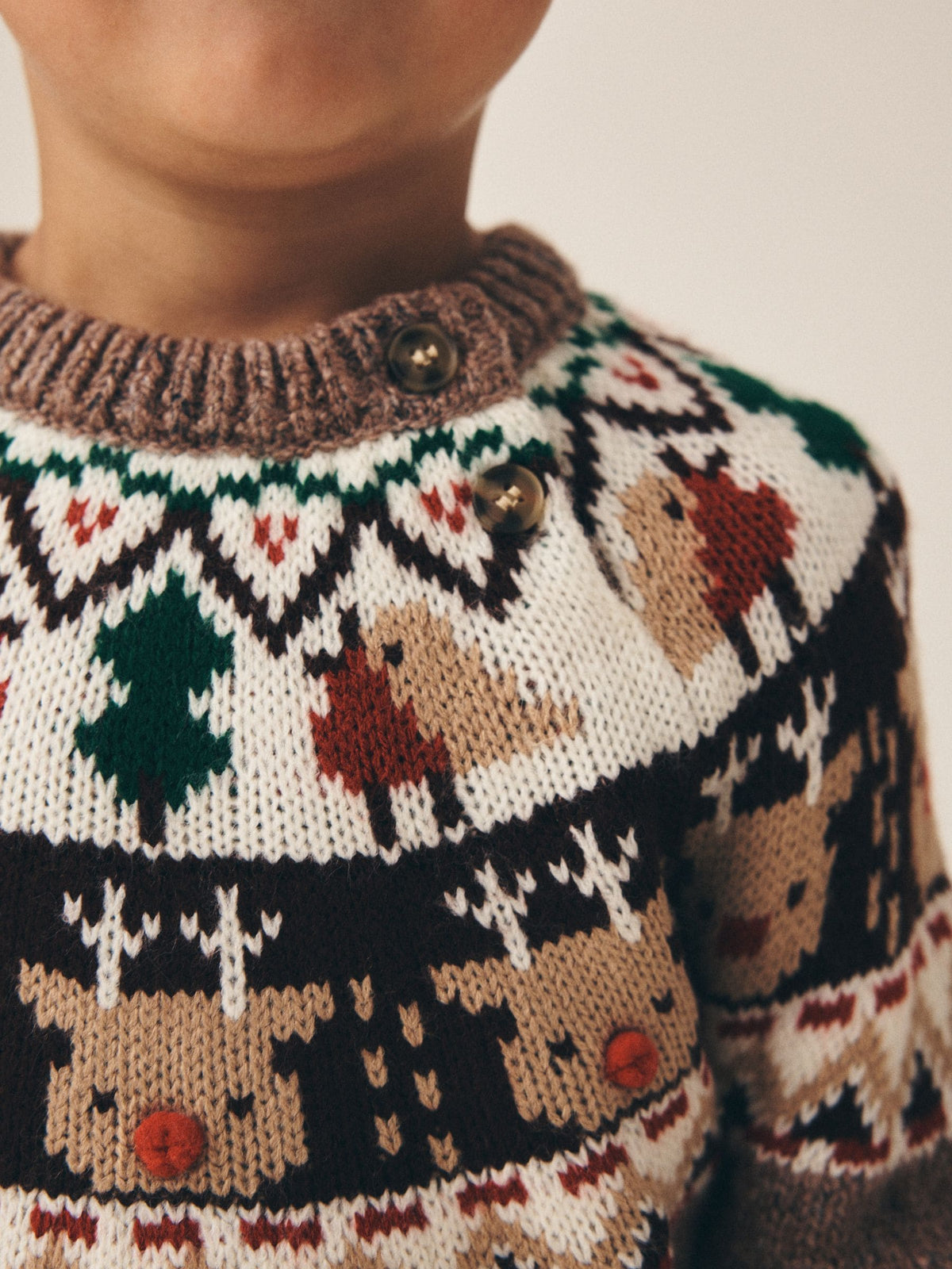 Brown Fairisle Reindeer Christmas Crew Neck Jumper (3mths-7yrs) - image 4