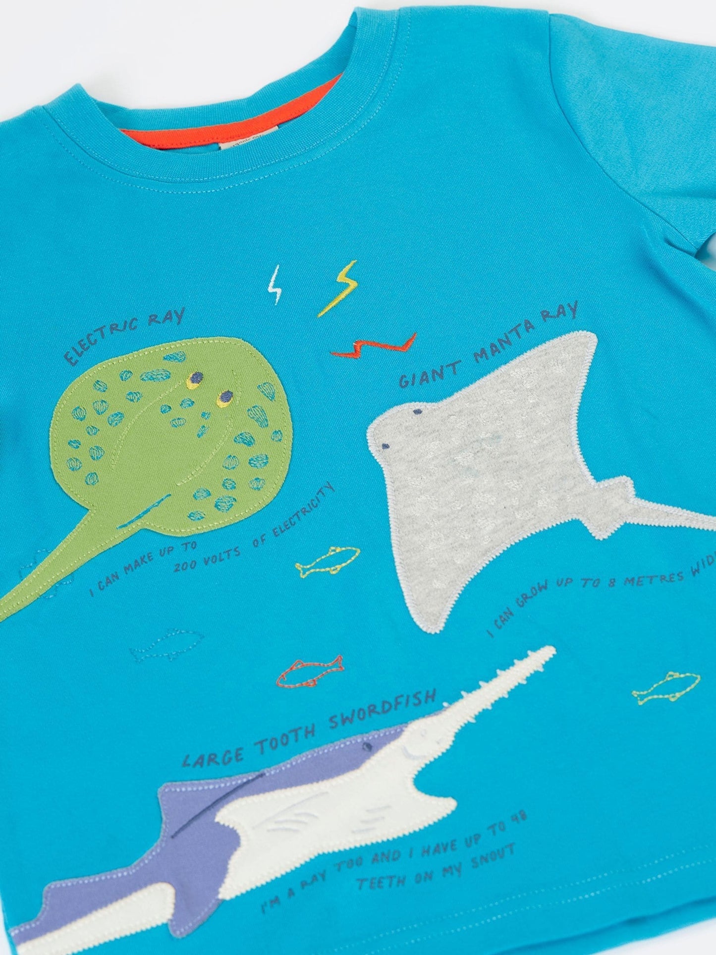 Frugi Blue Avery T-Shirt image 3