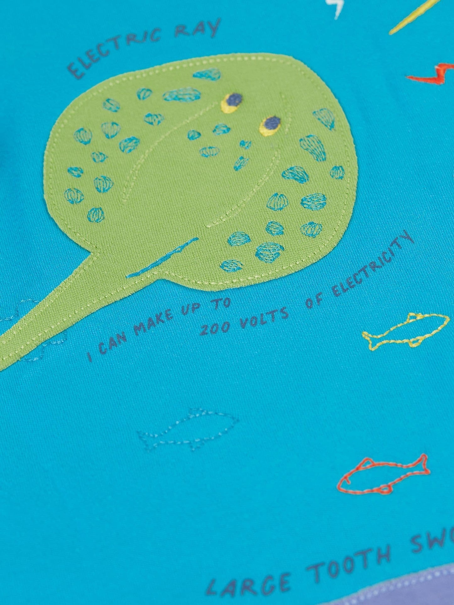 Frugi Blue Avery T-Shirt image 4