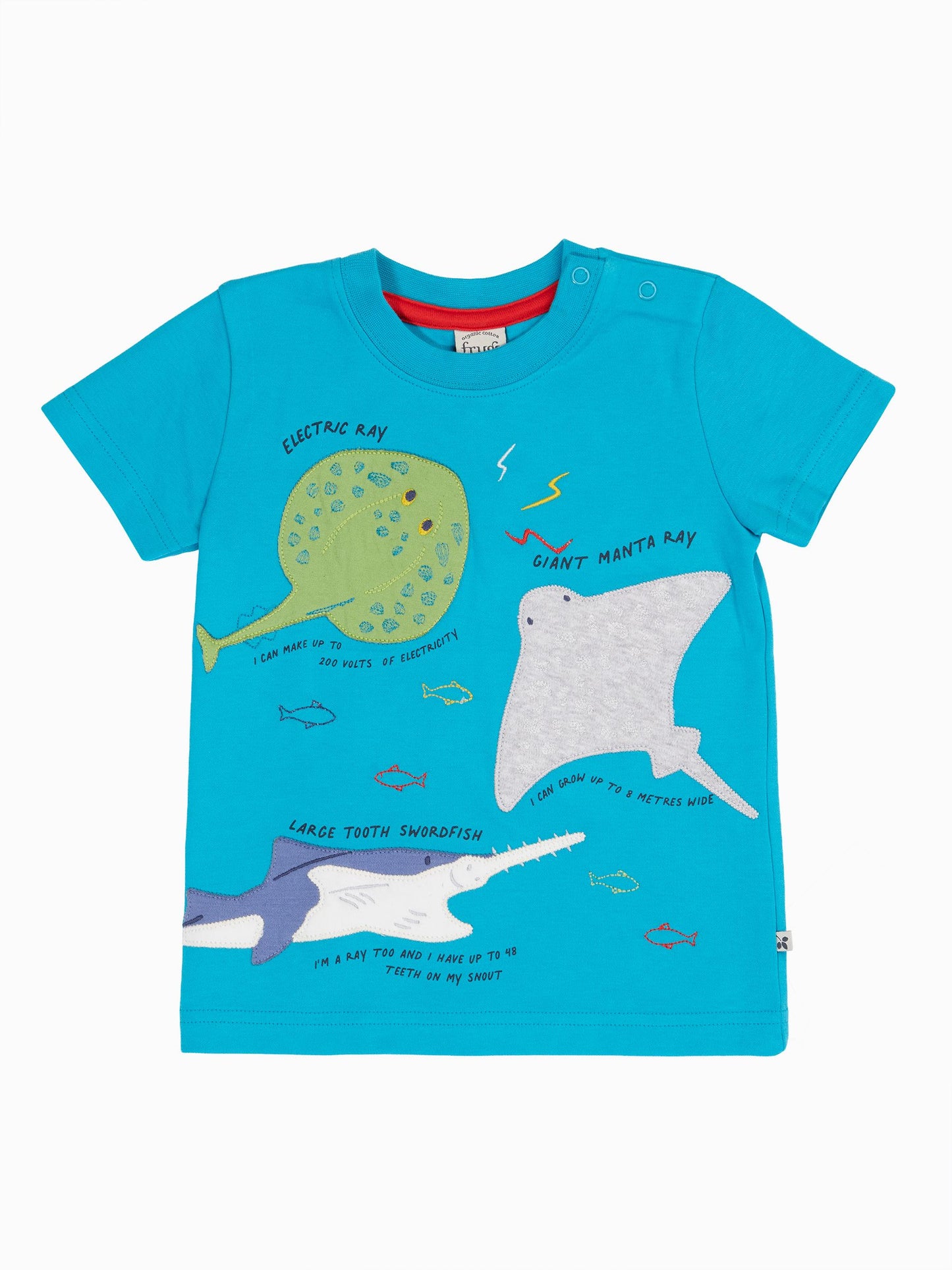Frugi Blue Avery T-Shirt image 5