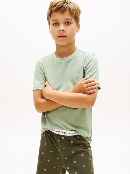 Tommy Hilfiger Green Signature Crew Neck T-Shirts 2 Pack image 2