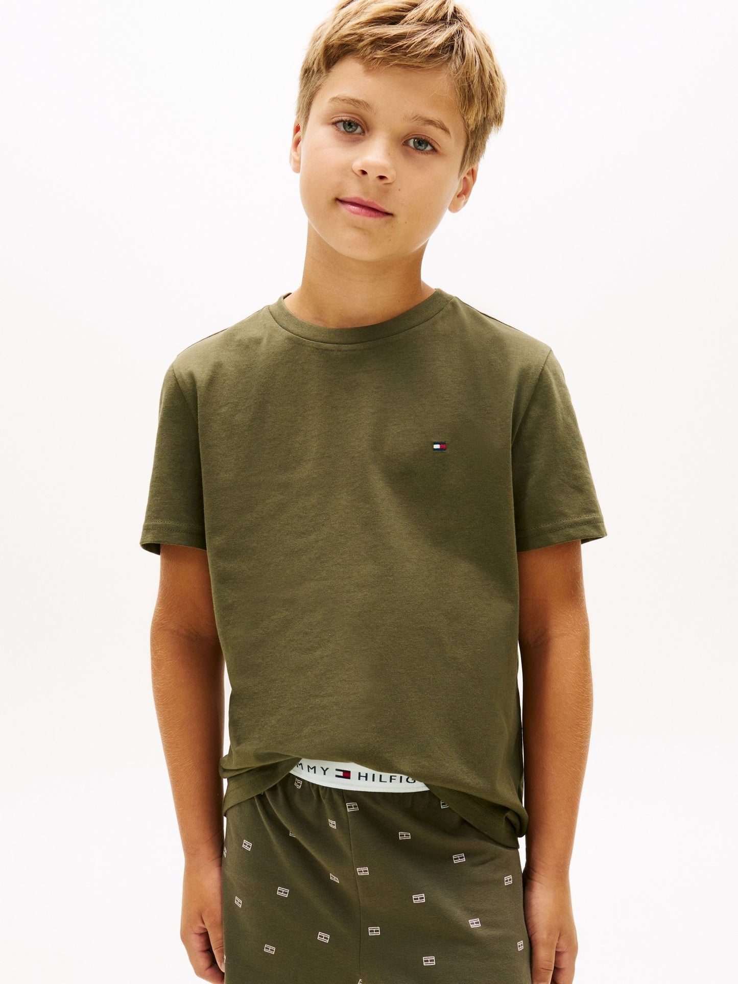 Tommy Hilfiger Green Signature Crew Neck T-Shirts 2 Pack image 3