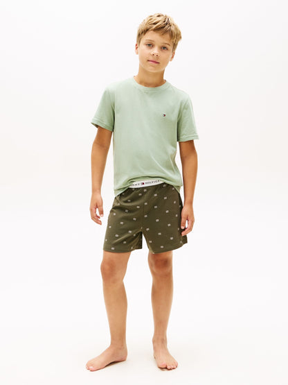 Tommy Hilfiger Green Signature Crew Neck T-Shirts 2 Pack image 4