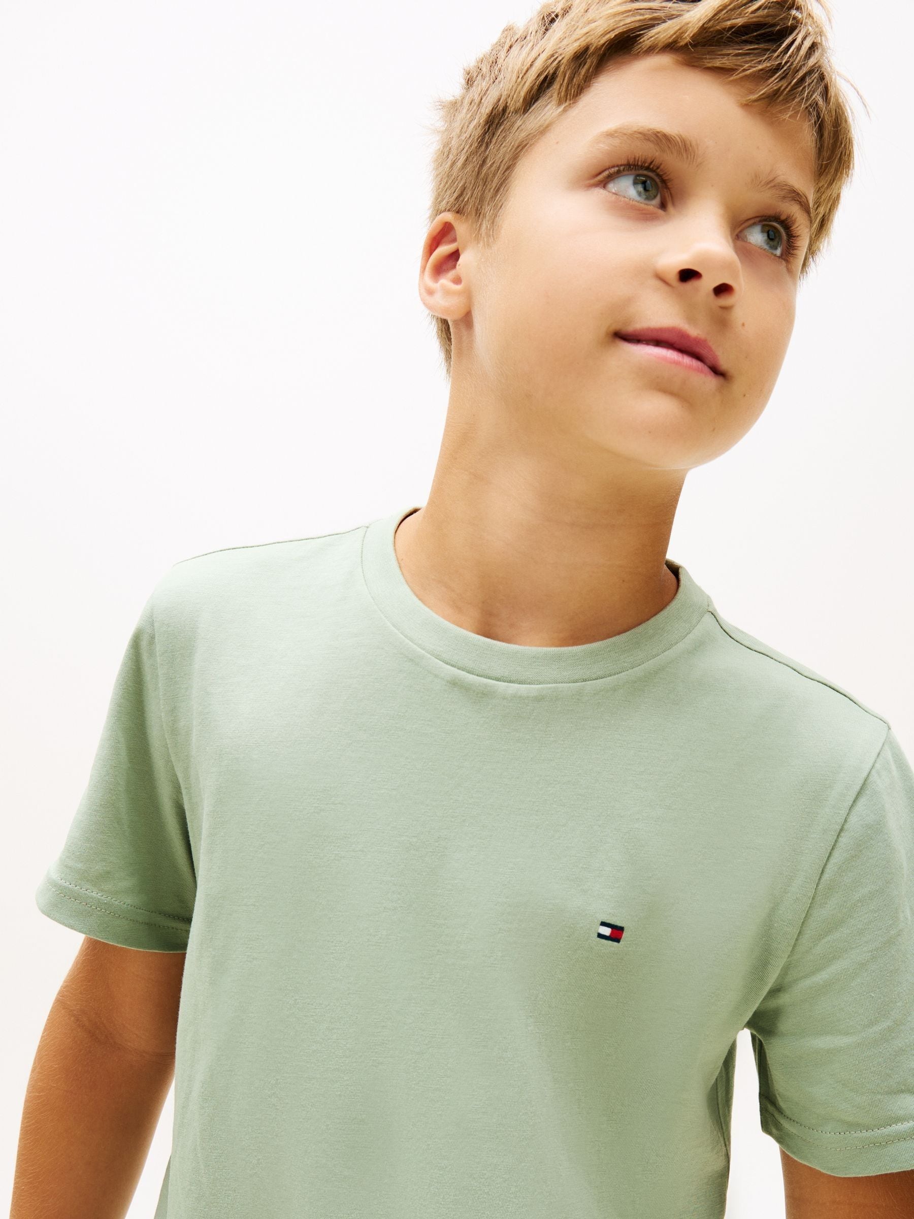 Tommy Hilfiger Green Signature Crew Neck T-Shirts 2 Pack image 6
