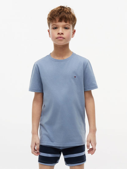 Tommy Hilfiger Sweet Blue / Brisk Blue Signature Crew Neck T-Shirts 2 Pack image 2