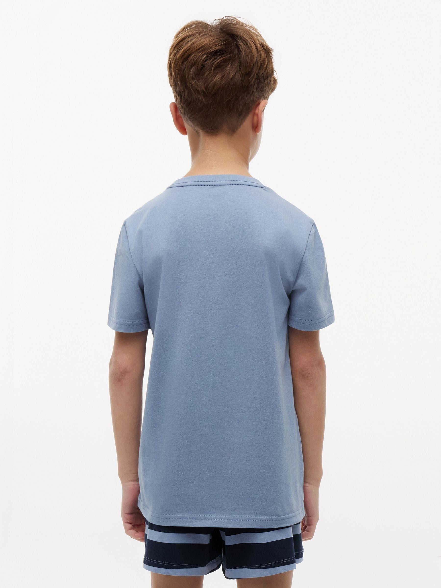 Tommy Hilfiger Sweet Blue / Brisk Blue Signature Crew Neck T-Shirts 2 Pack image 3