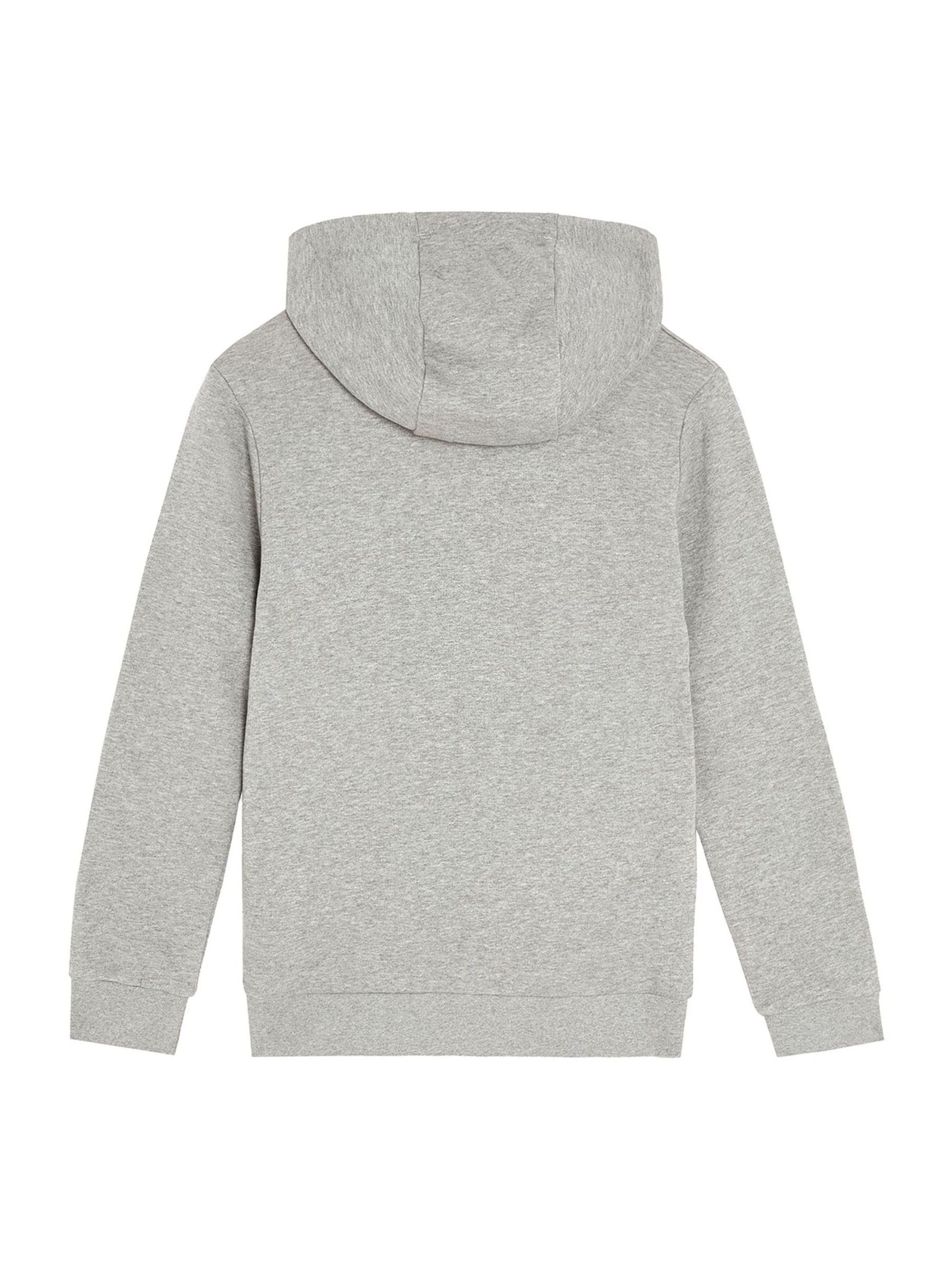 Dsiney Kidz - Lyle & Scott Grey Zip Through Hoodie image 4