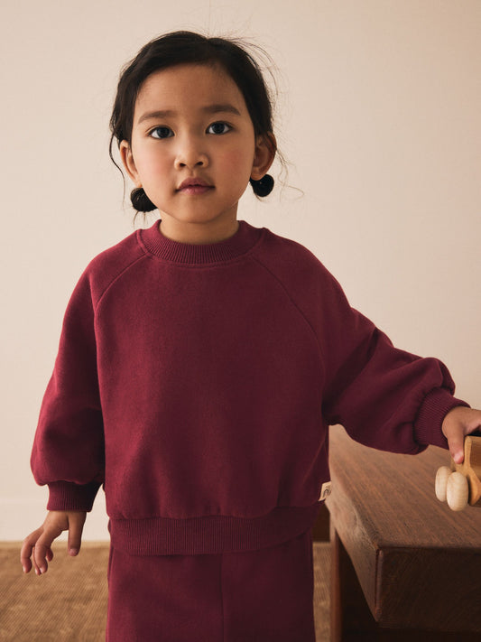 Burgundy Red Crew Neck Sweatshirt (3mths-7yrs) image 1