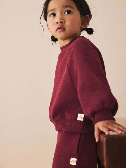 Burgundy Red Crew Neck Sweatshirt (3mths-7yrs) image 3