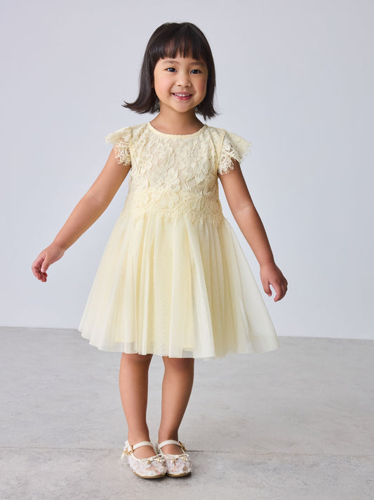 Baker by Ted Baker Lace Mesh Dress image 2