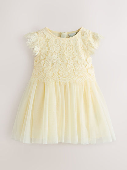 Baker by Ted Baker Lace Mesh Dress image 7