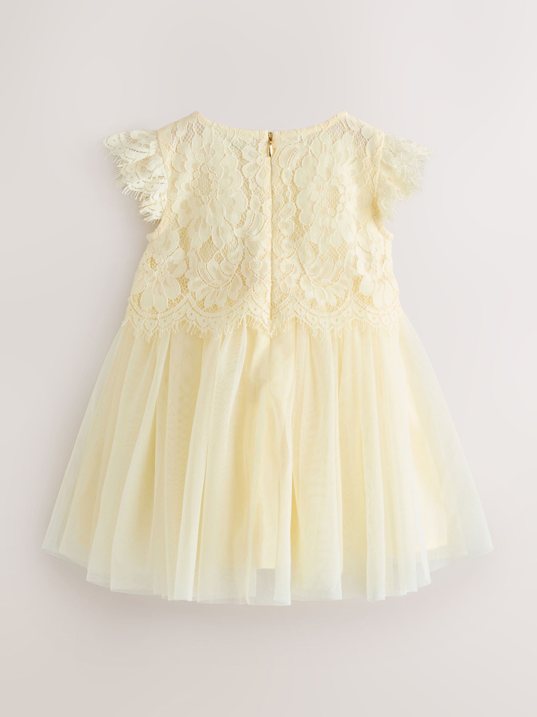 Baker by Ted Baker Lace Mesh Dress image 8