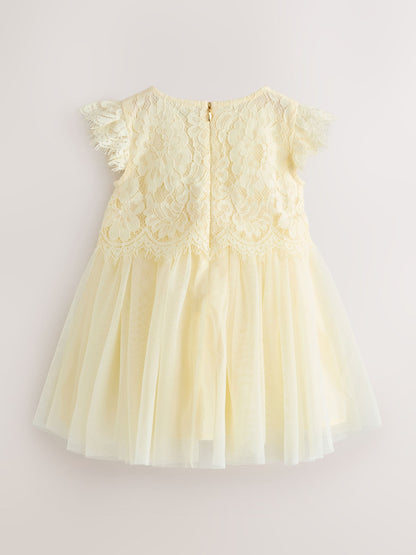 Baker by Ted Baker Lace Mesh Dress image 8