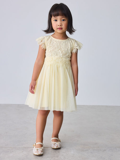 Baker by Ted Baker Lace Mesh Dress image 1
