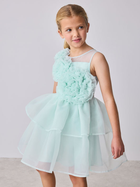 Dsiney Kidz - Baker by Ted Baker Corsage Organza Occasion Dress image 1