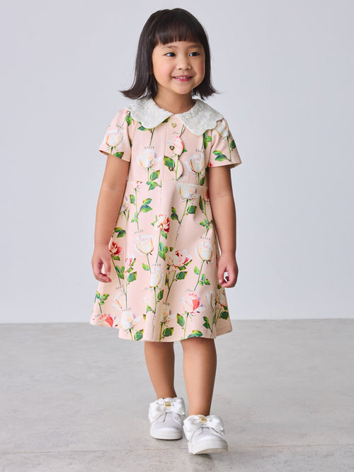 Baker by Ted Baker Lace Collared Ponte Dress image 1