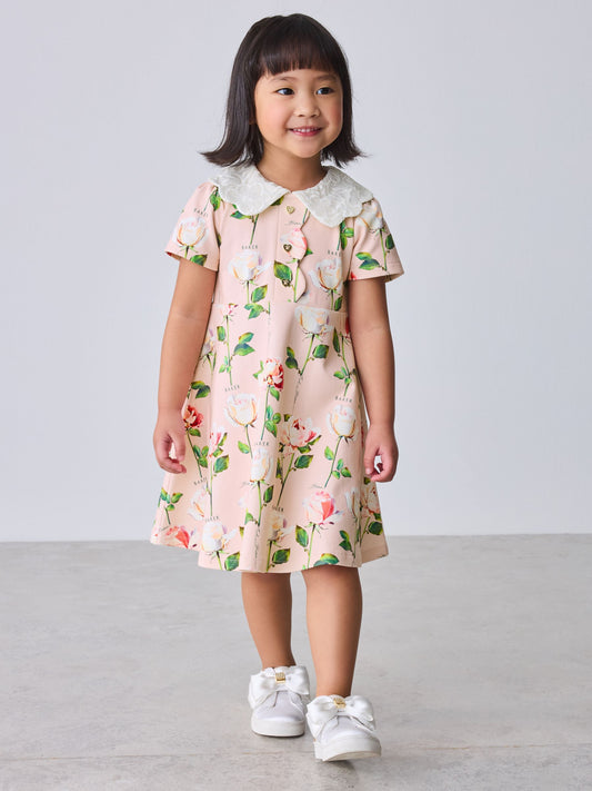 Baker by Ted Baker Lace Collared Ponte Dress image 1