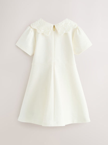 Baker by Ted Baker Lace Collared Ponte Dress image 6
