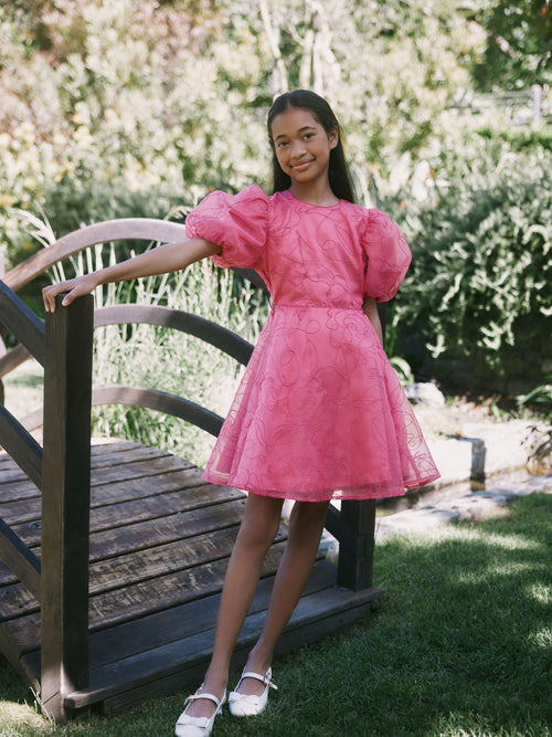 Dsiney Kidz - Baker by Ted Baker Pink Organza Cord Puff Sleeve Occasion Dress & Scrunchie Set image 1