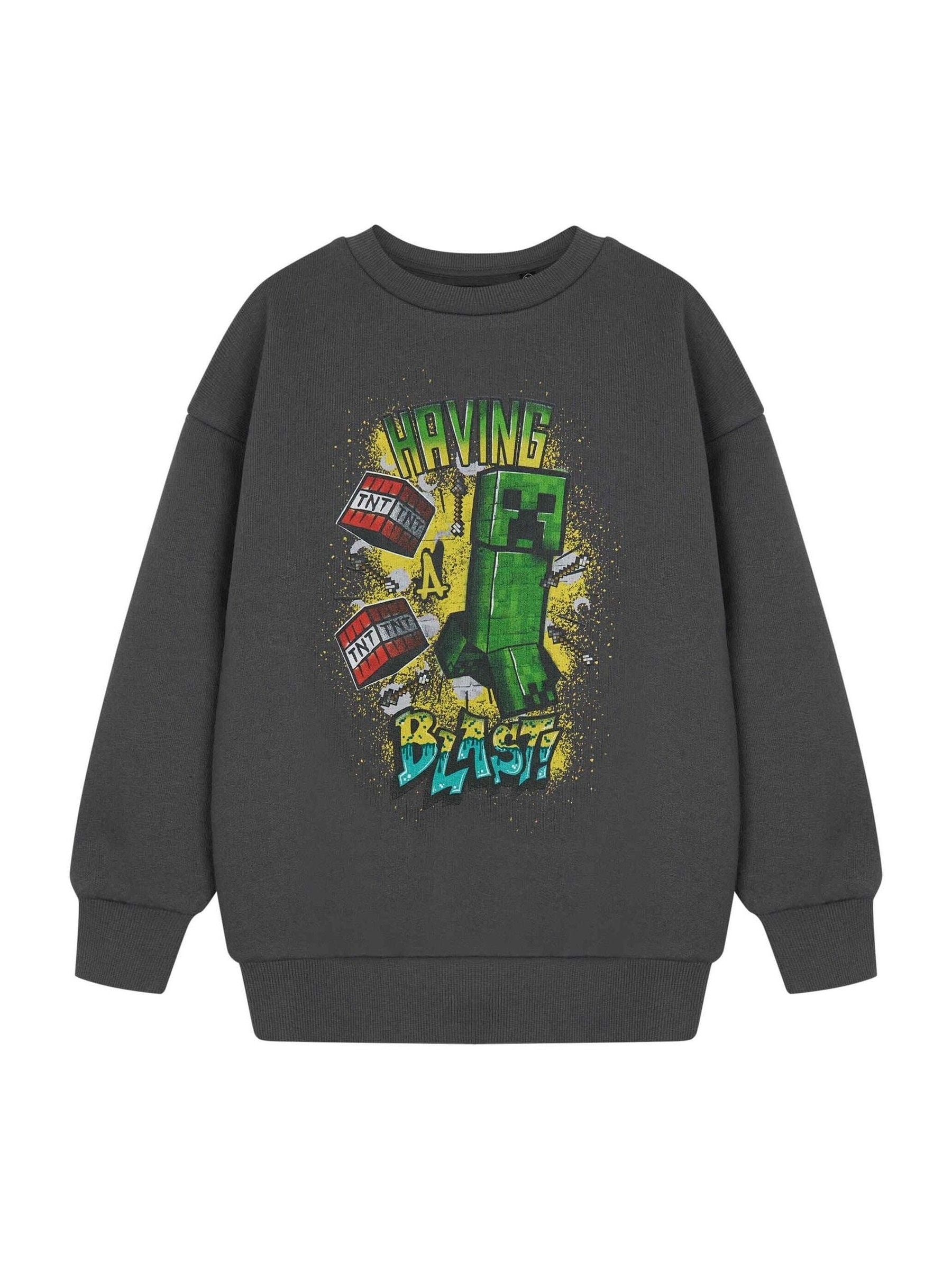 Dsiney Kidz - Vanilla Underground Grey Boys Minecraft 100% Cotton Sweatshirt image 1