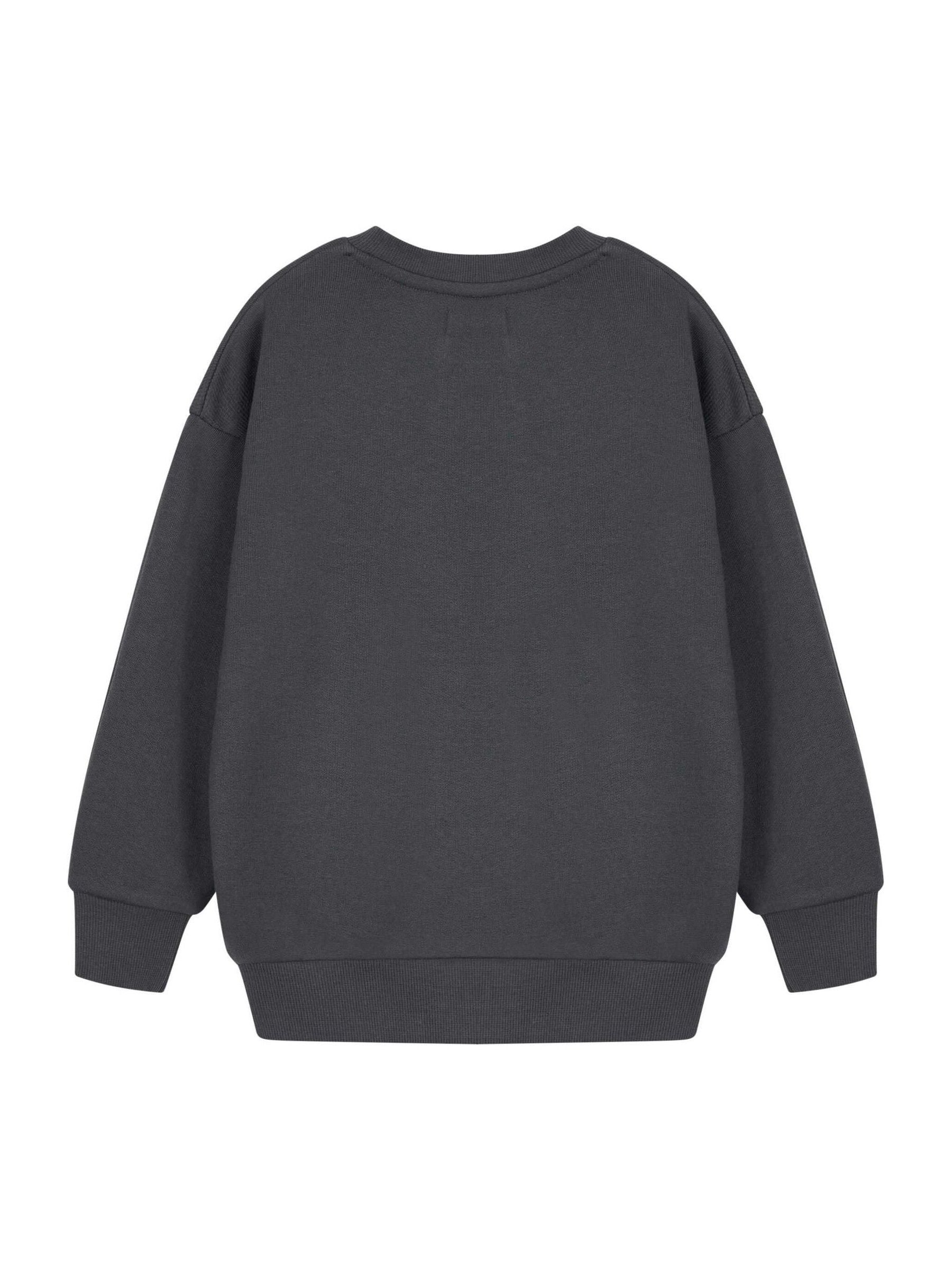 Dsiney Kidz - Vanilla Underground Grey Boys Minecraft 100% Cotton Sweatshirt image 2
