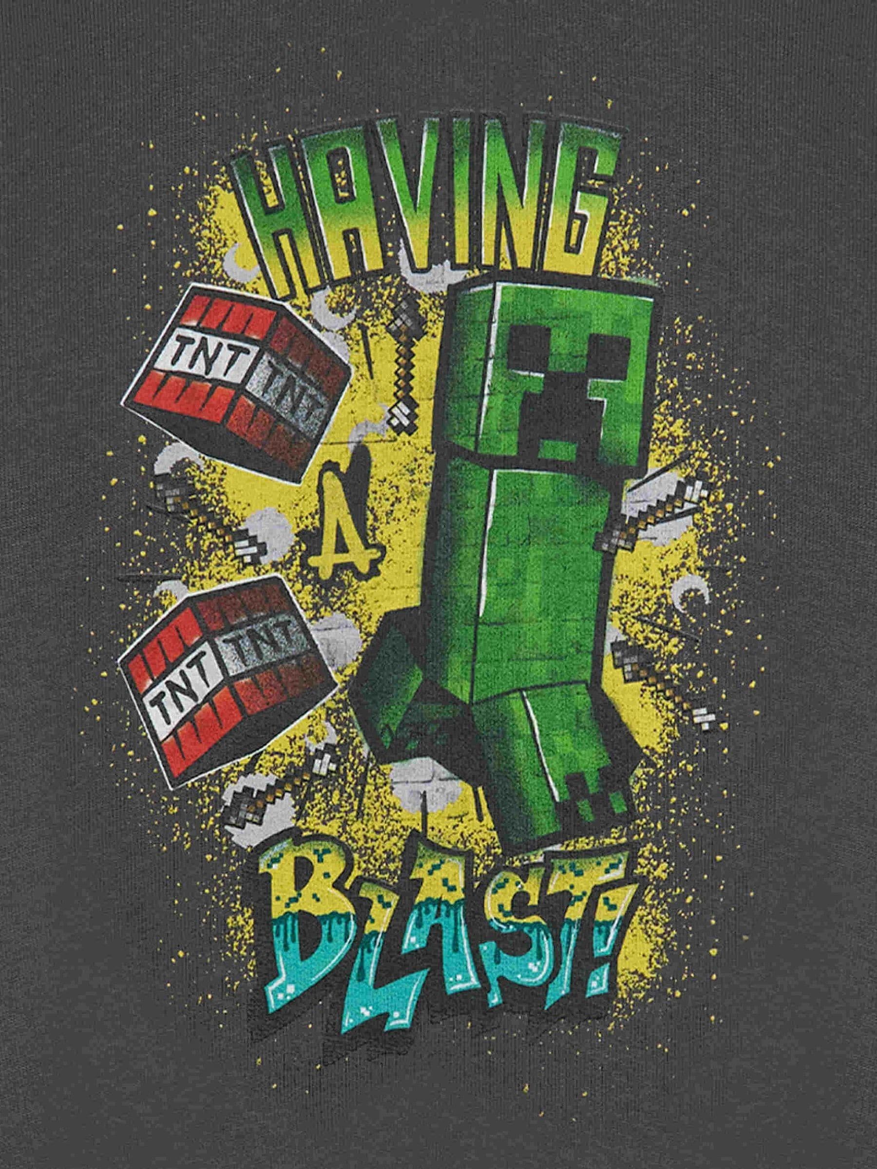 Dsiney Kidz - Vanilla Underground Grey Boys Minecraft 100% Cotton Sweatshirt image 6