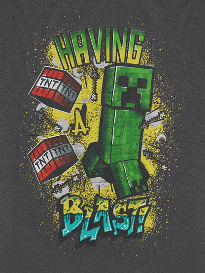 Dsiney Kidz - Vanilla Underground Grey Boys Minecraft 100% Cotton Sweatshirt image 6