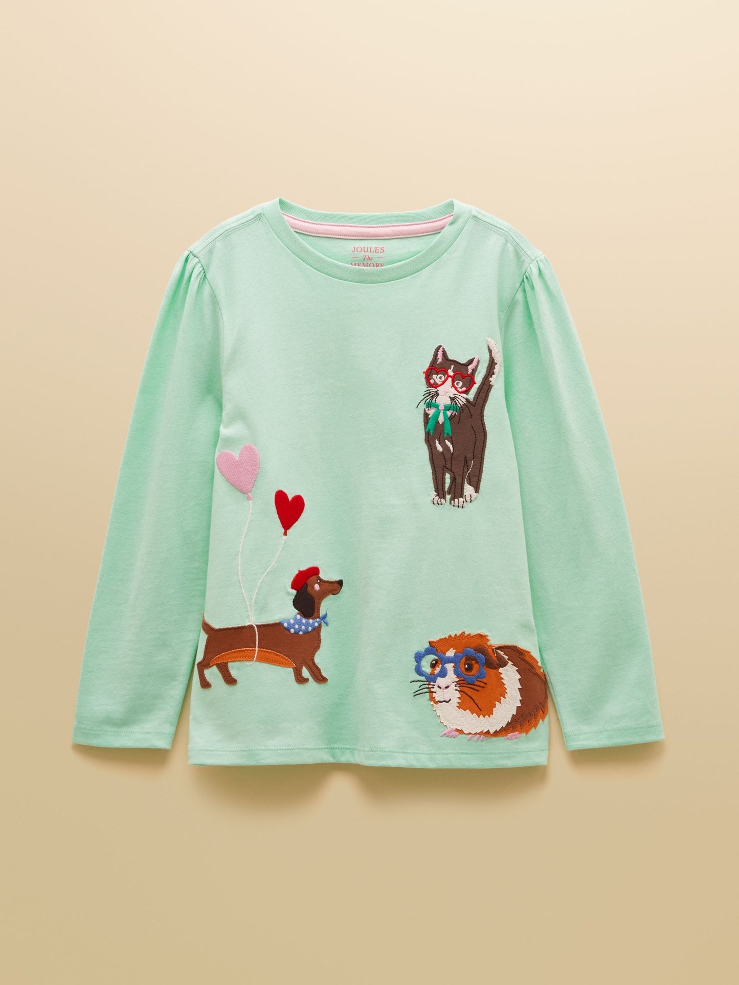 Joules Girls' Ava Mint Green Applique Long Sleeve Top image 3