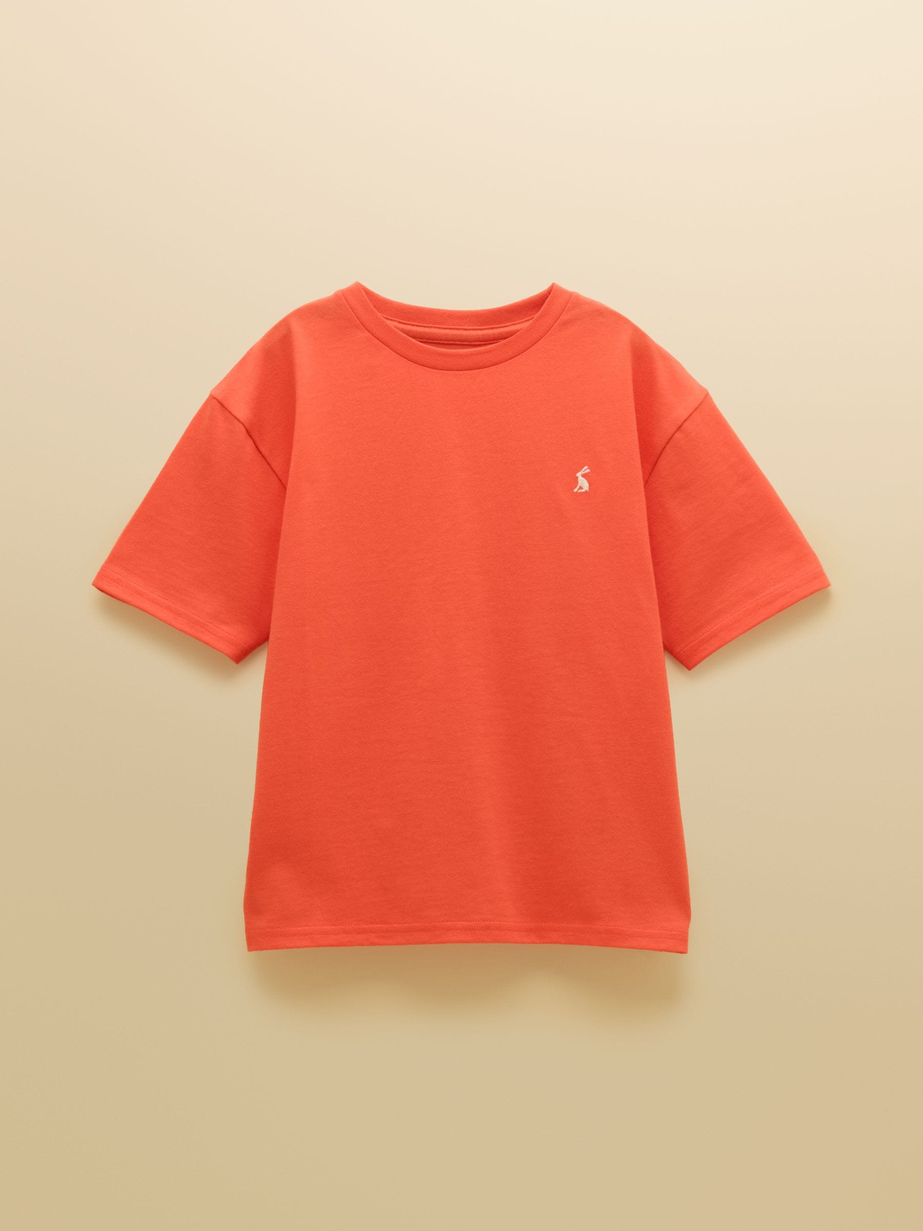 Joules Boys' Let's Go Green & Orange Short Sleeve T-Shirts 3 Pack image 2