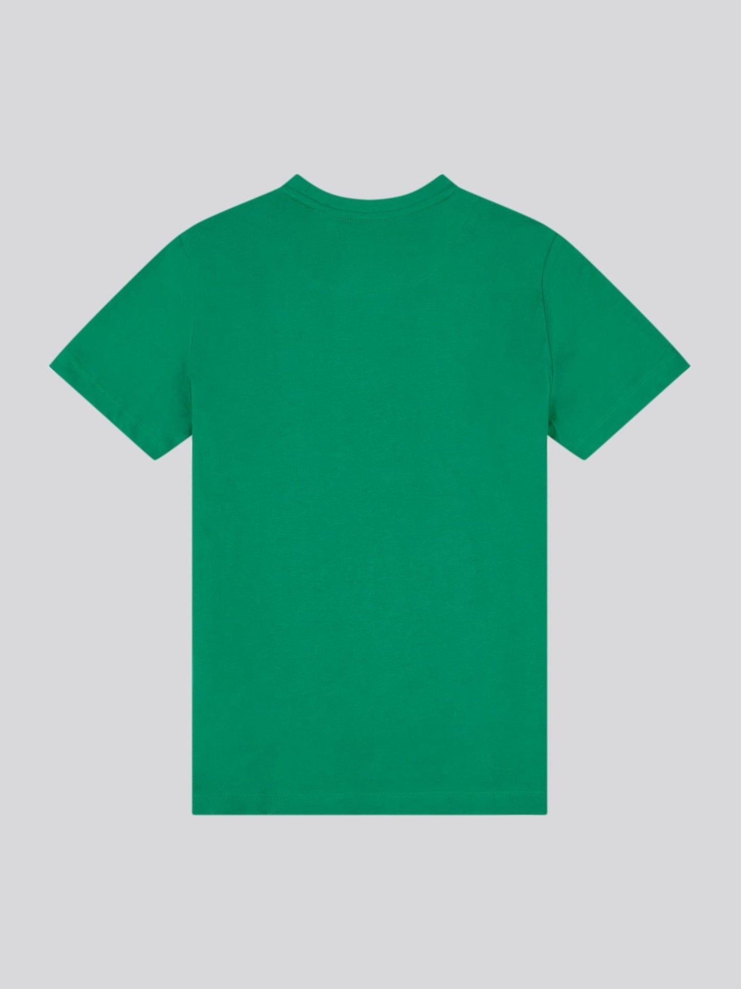 Dsiney Kidz - U.S. Polo Assn. Light Green Graphic Print T-Shirt image 6