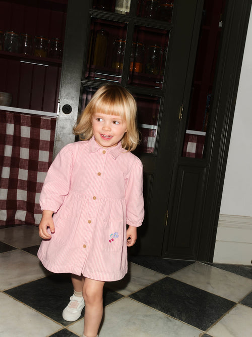 Pink Stripe Long Sleeve Cotton Dress (3mths-8yrs) image 1