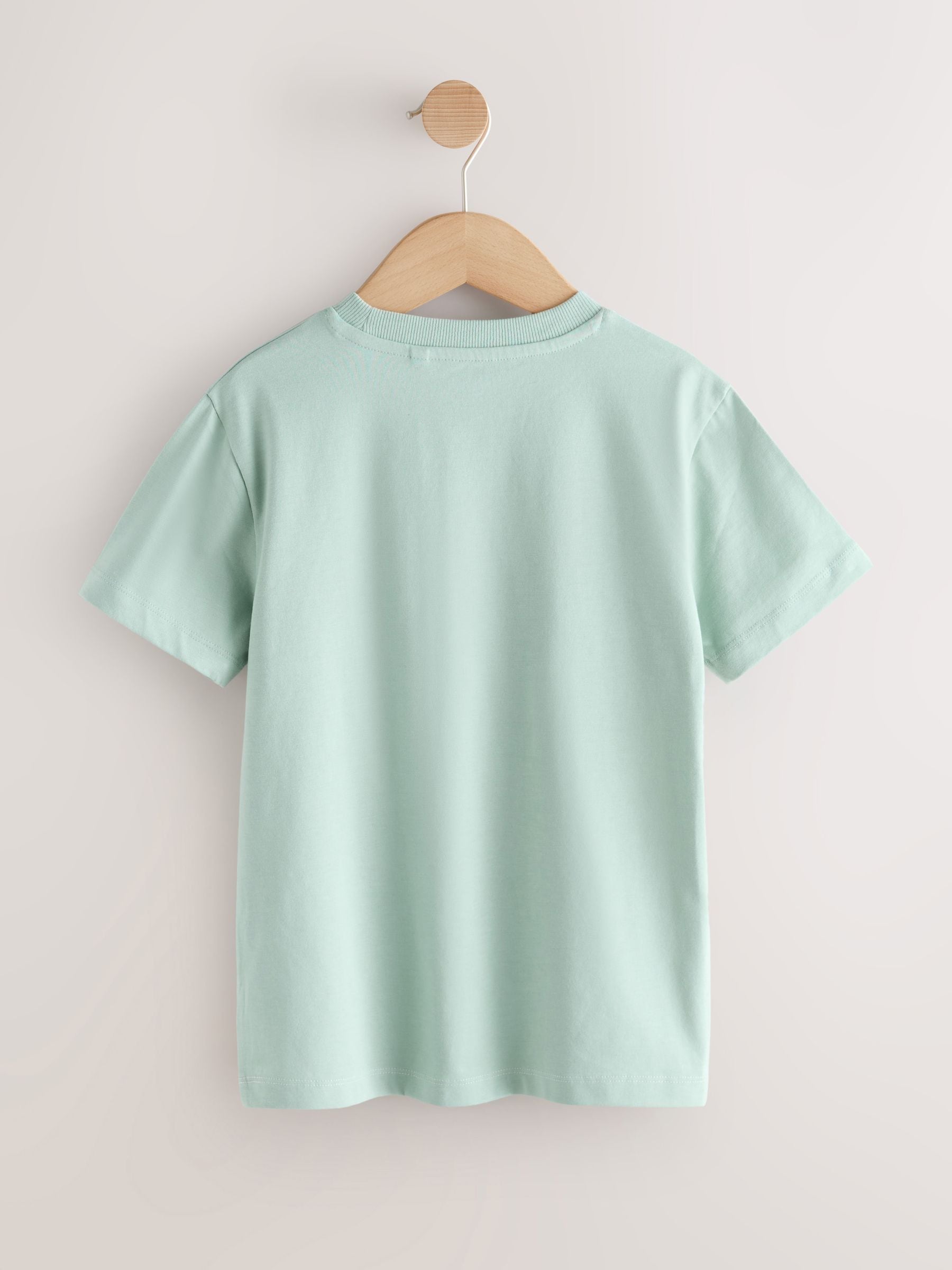 Dsiney Kidz - Mineral Green/Ecru Colourblock Short Sleeve T-Shirt (3-16yrs) image 2