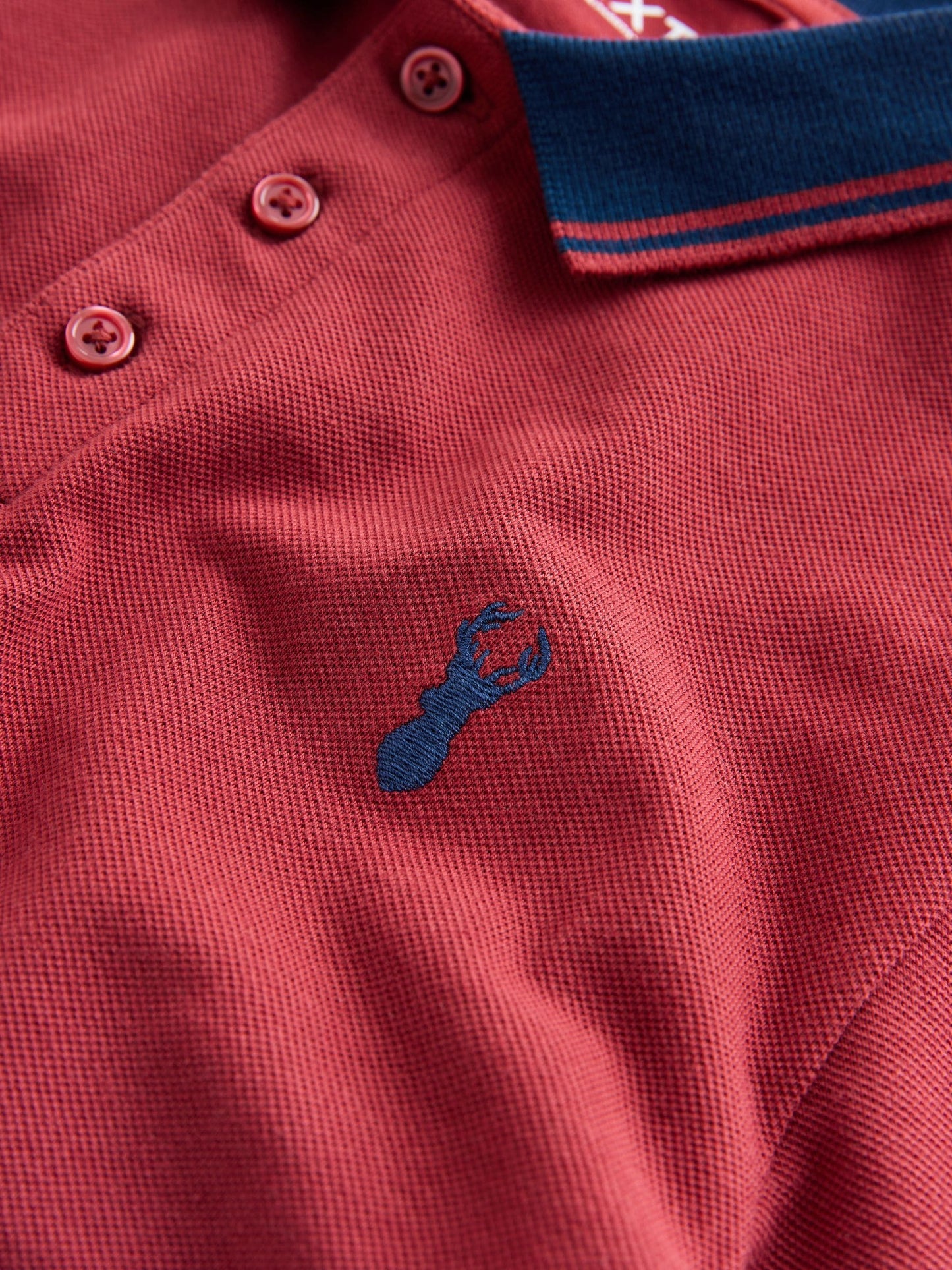 Dsiney Kidz - Rust/Navy Stripe Tipped Collar Short Sleeve Polo Shirt (3-16yrs) image 3