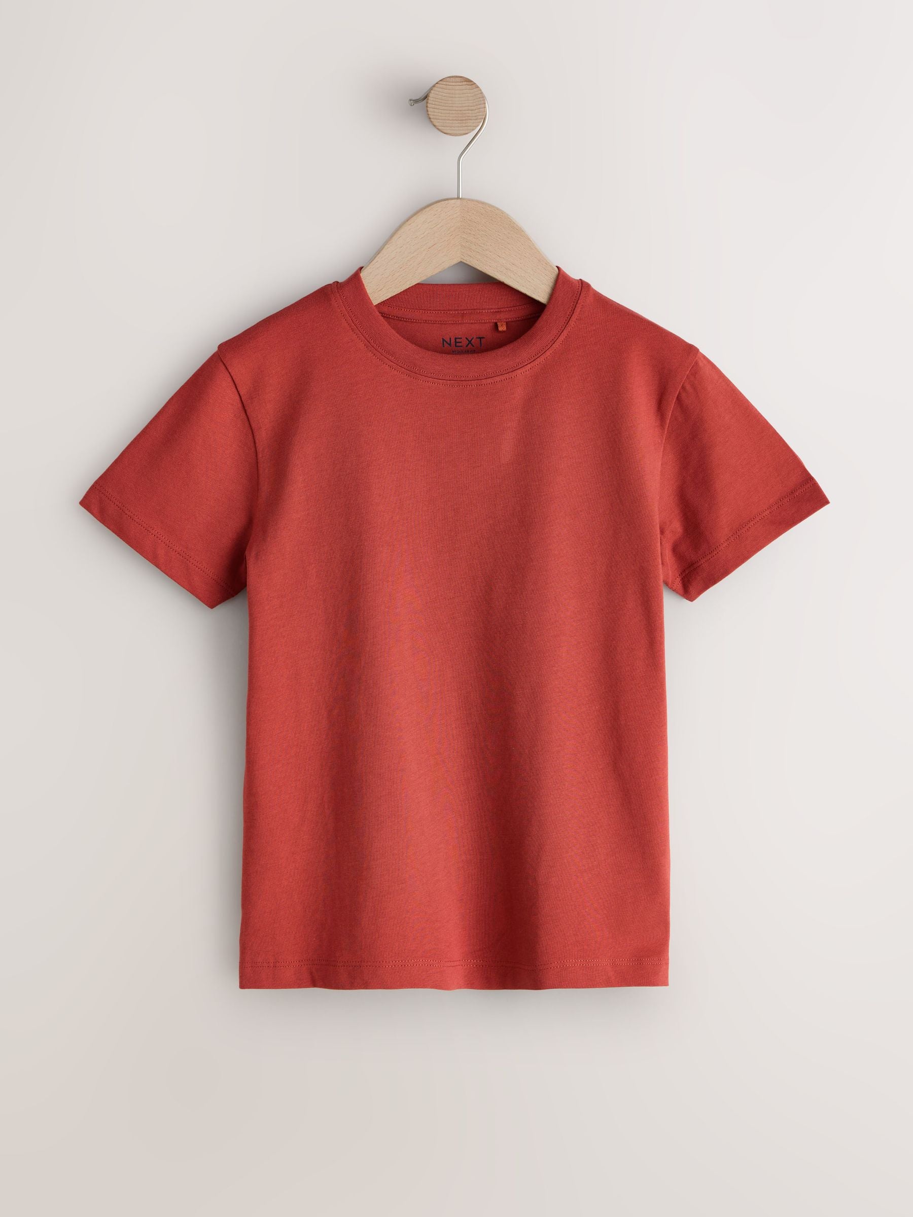 Dsiney Kidz - Rust Red Regular Fit Short Sleeve T-Shirt (3-16yrs) image 1