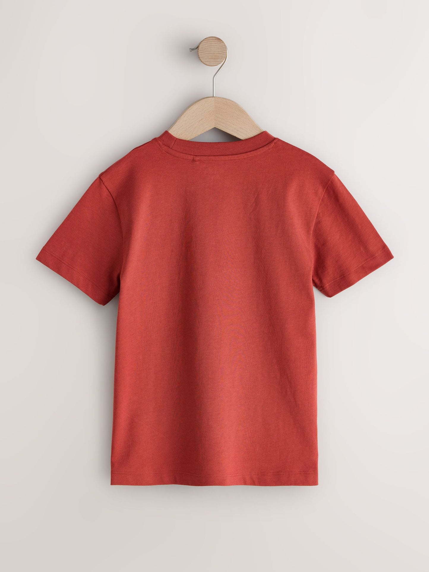 Dsiney Kidz - Rust Red Regular Fit Short Sleeve T-Shirt (3-16yrs) image 2