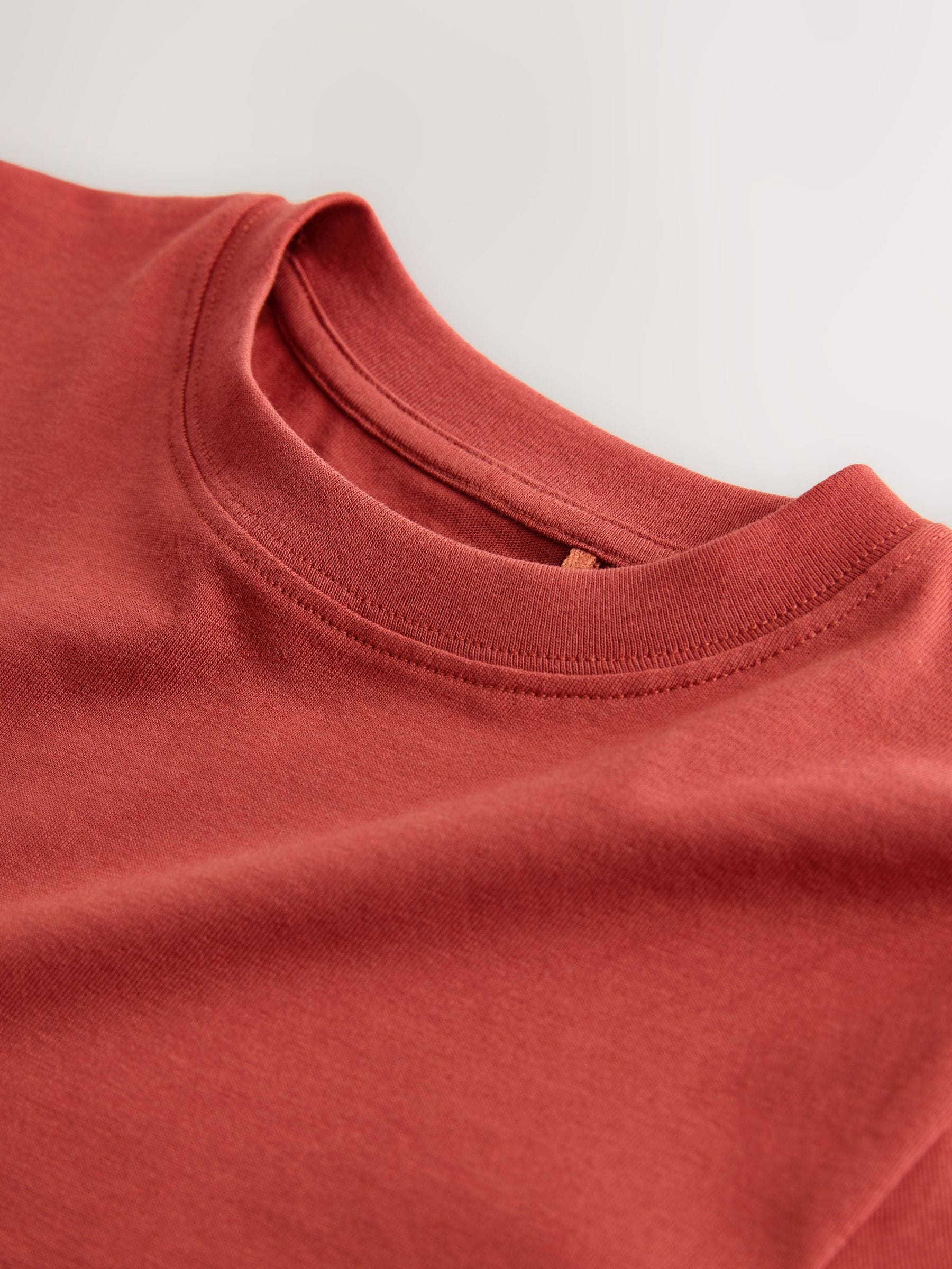 Dsiney Kidz - Rust Red Regular Fit Short Sleeve T-Shirt (3-16yrs) image 3