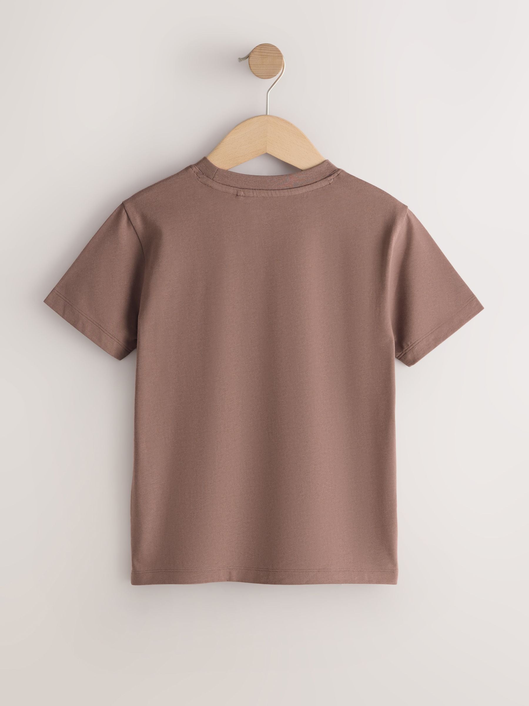 Dsiney Kidz - Mink Brown Regular Fit Short Sleeve T-Shirt (3-16yrs) image 2