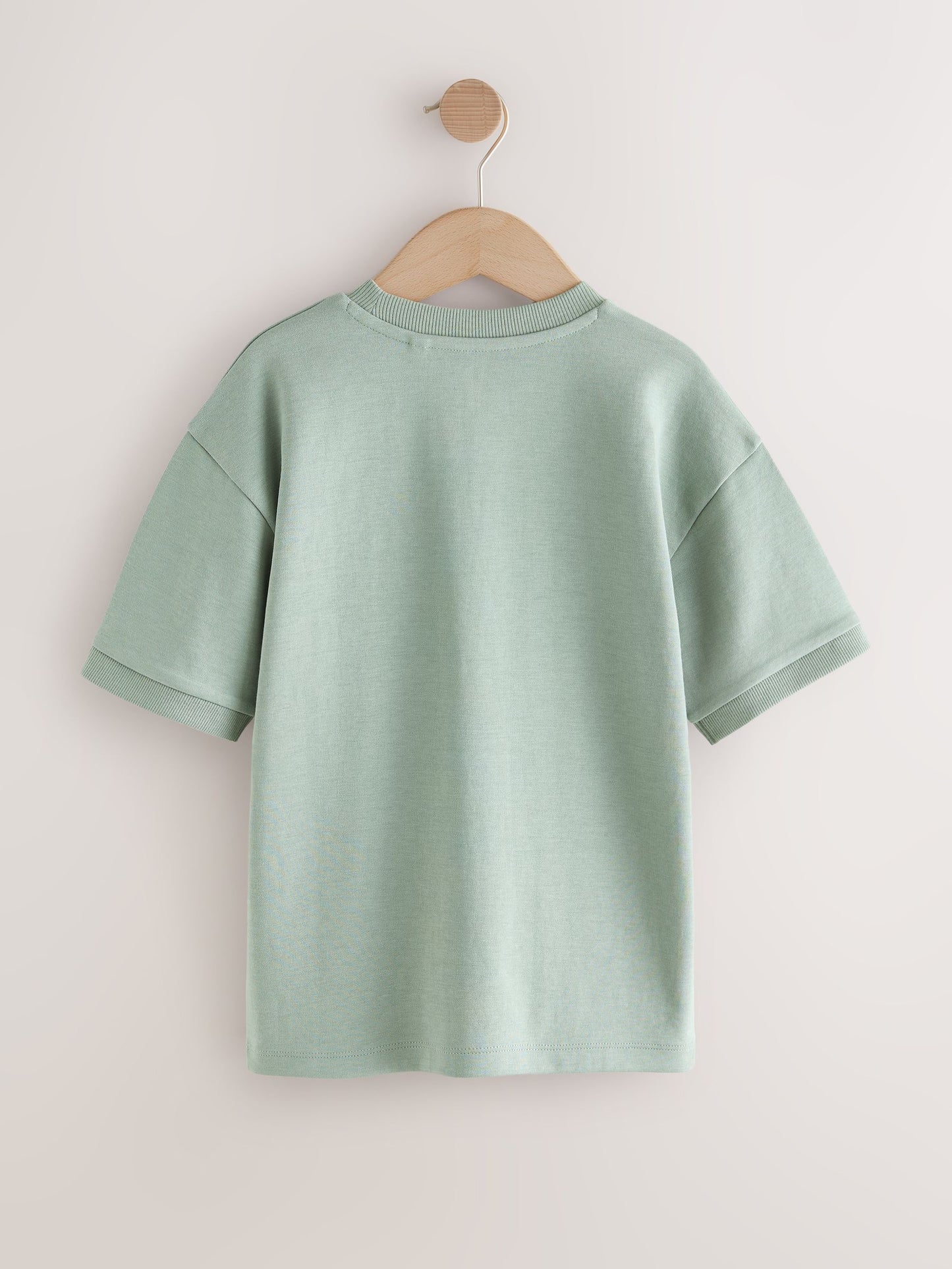 Dsiney Kidz - Mint Green Relaxed Fit Heavyweight T-Shirt (3-16yrs) image 2