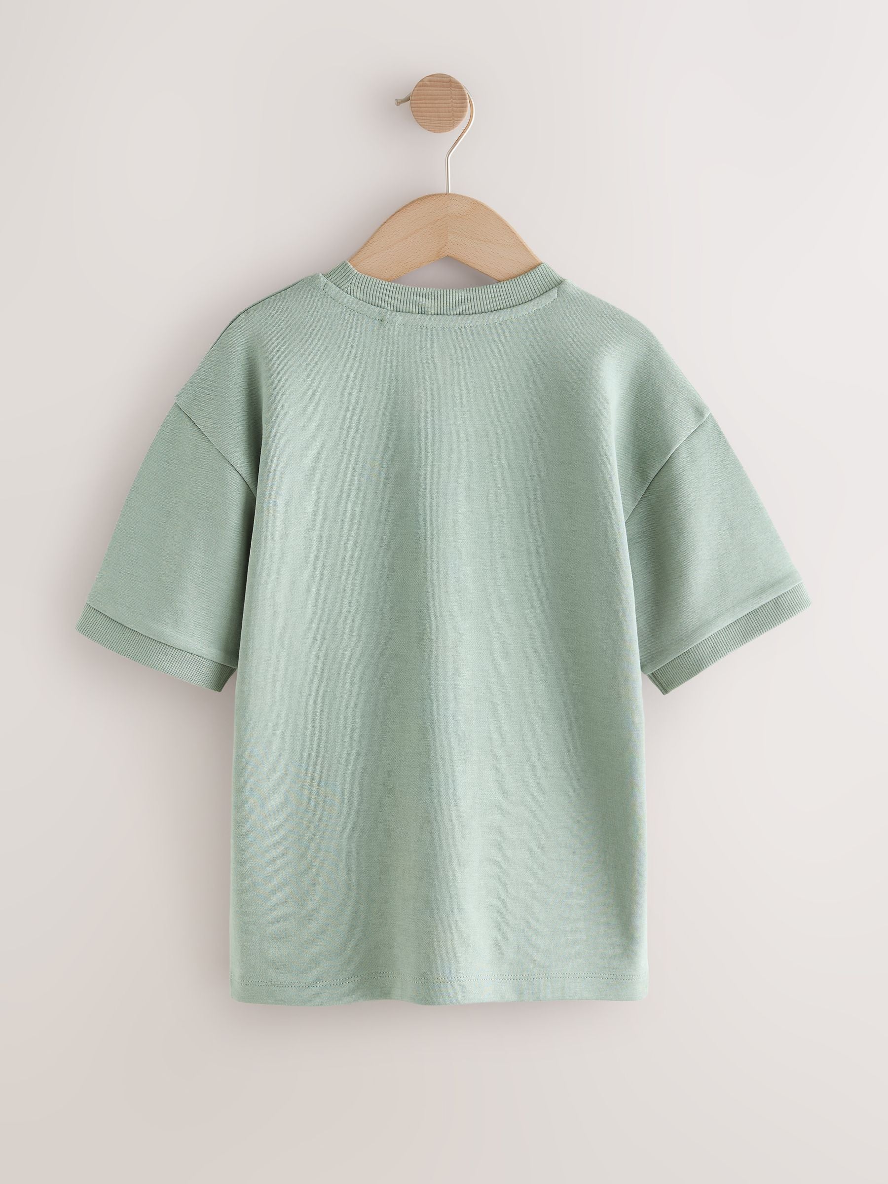 Dsiney Kidz - Mint Green Relaxed Fit Heavyweight T-Shirt (3-16yrs) image 2