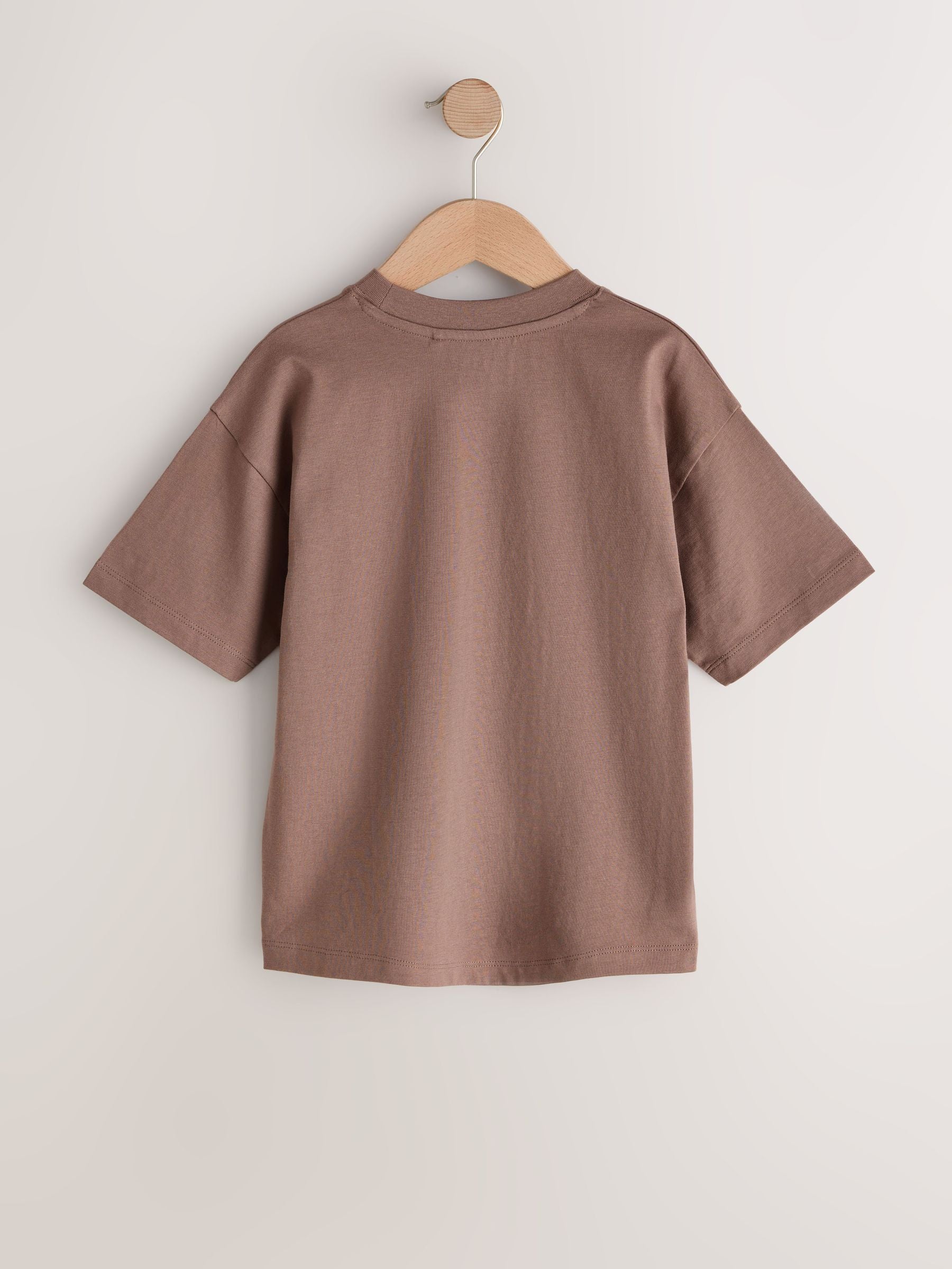 Dsiney Kidz - Mink Brown Relaxed Fit Short Sleeve T-Shirt (3-16yrs) image 2