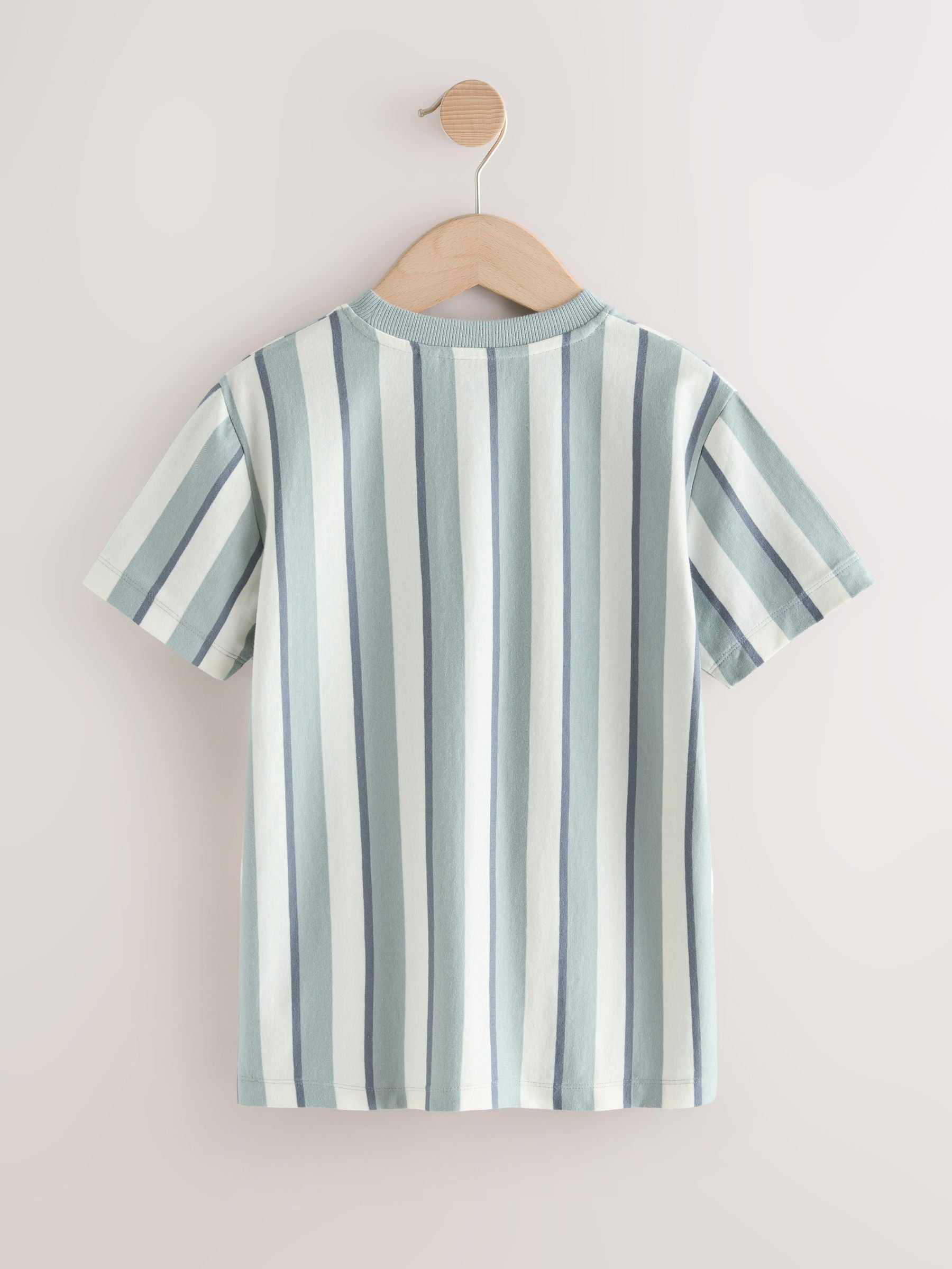 Dsiney Kidz - Mineral Stripe Regular Fit Short Sleeve Graphic Print T-Shirt (3-16yrs) image 6